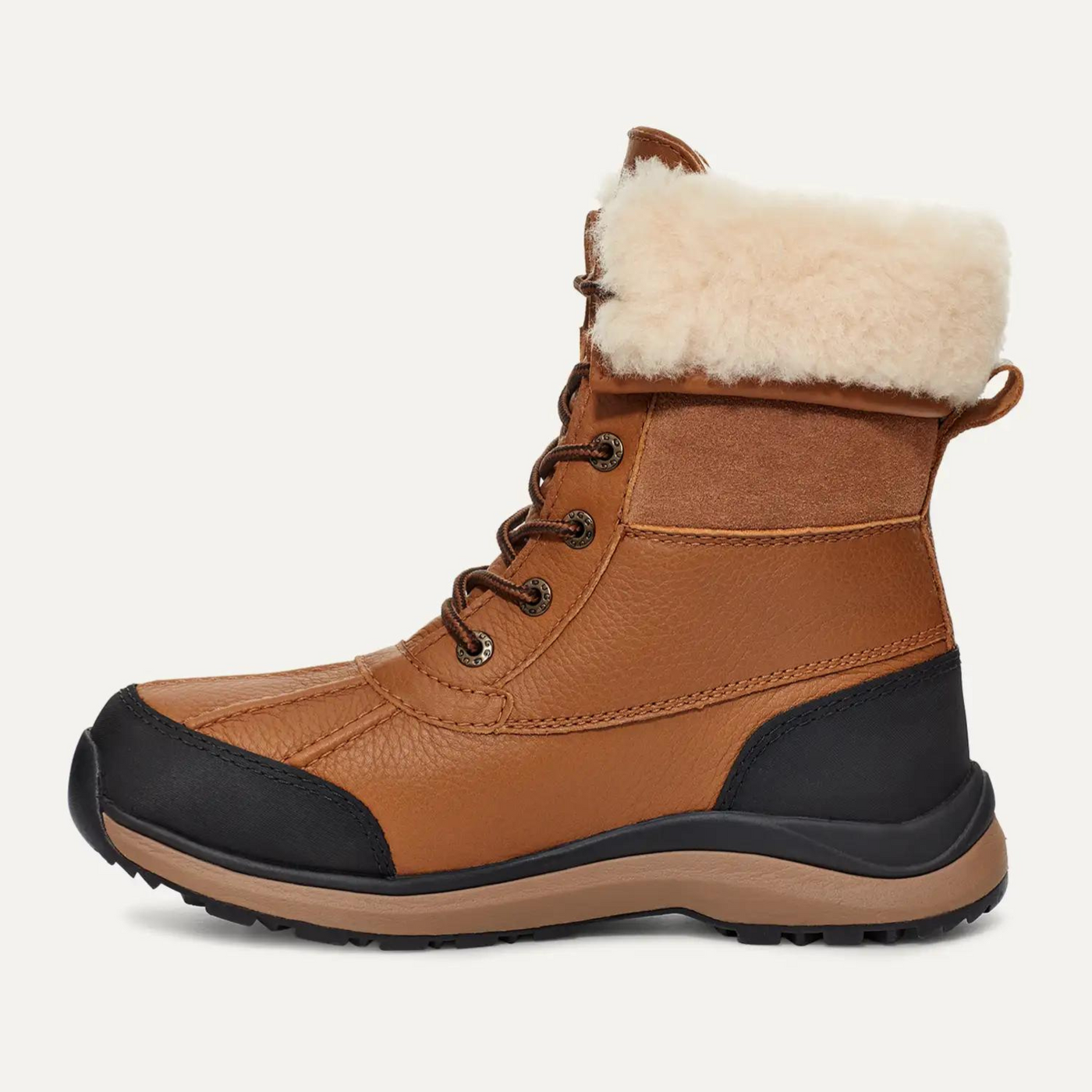 Women's Adirondack III Boot