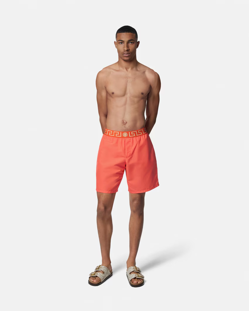 GRECA BORDER BOARDSHORTS