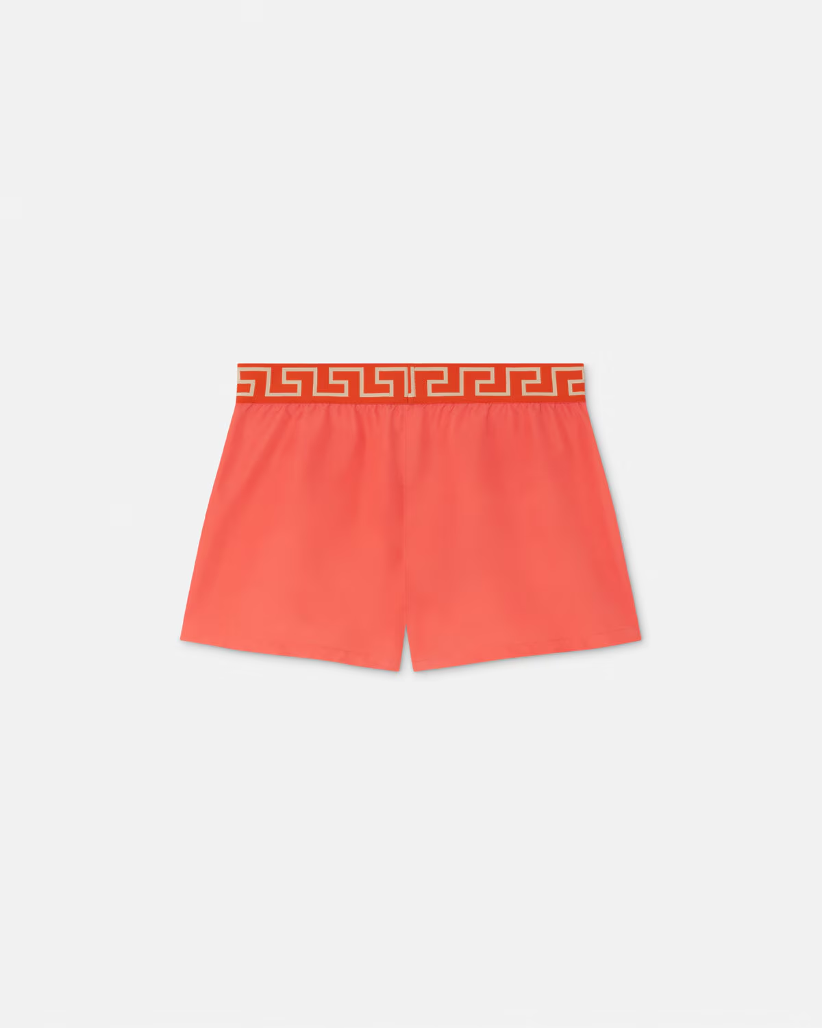 GRECA BORDER SWIM SHORTS