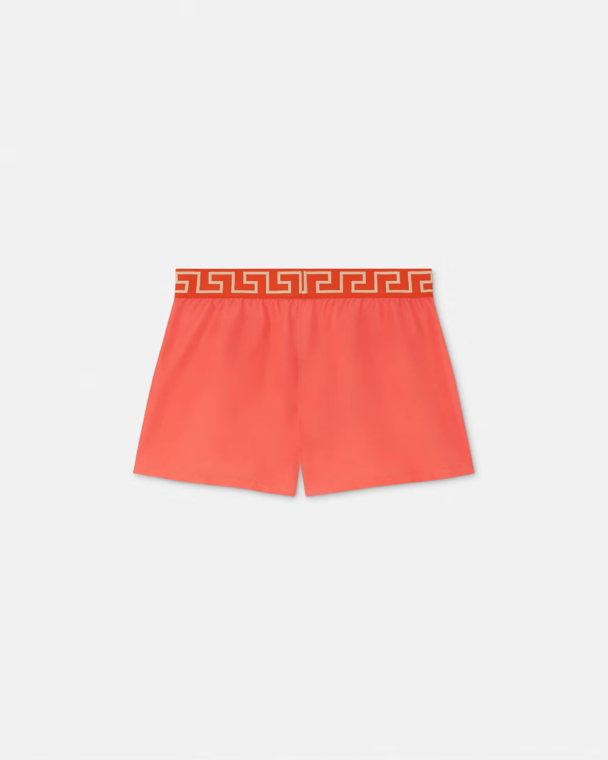 GRECA BORDER SWIM SHORTS