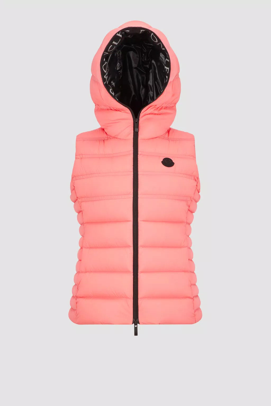 Aliterse Down Vest