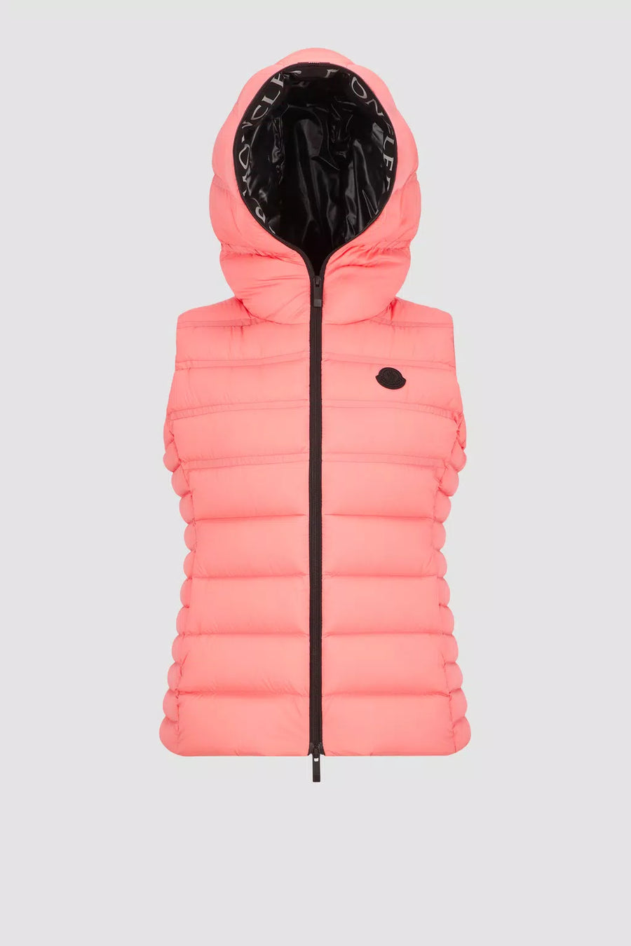 Aliterse Down Vest